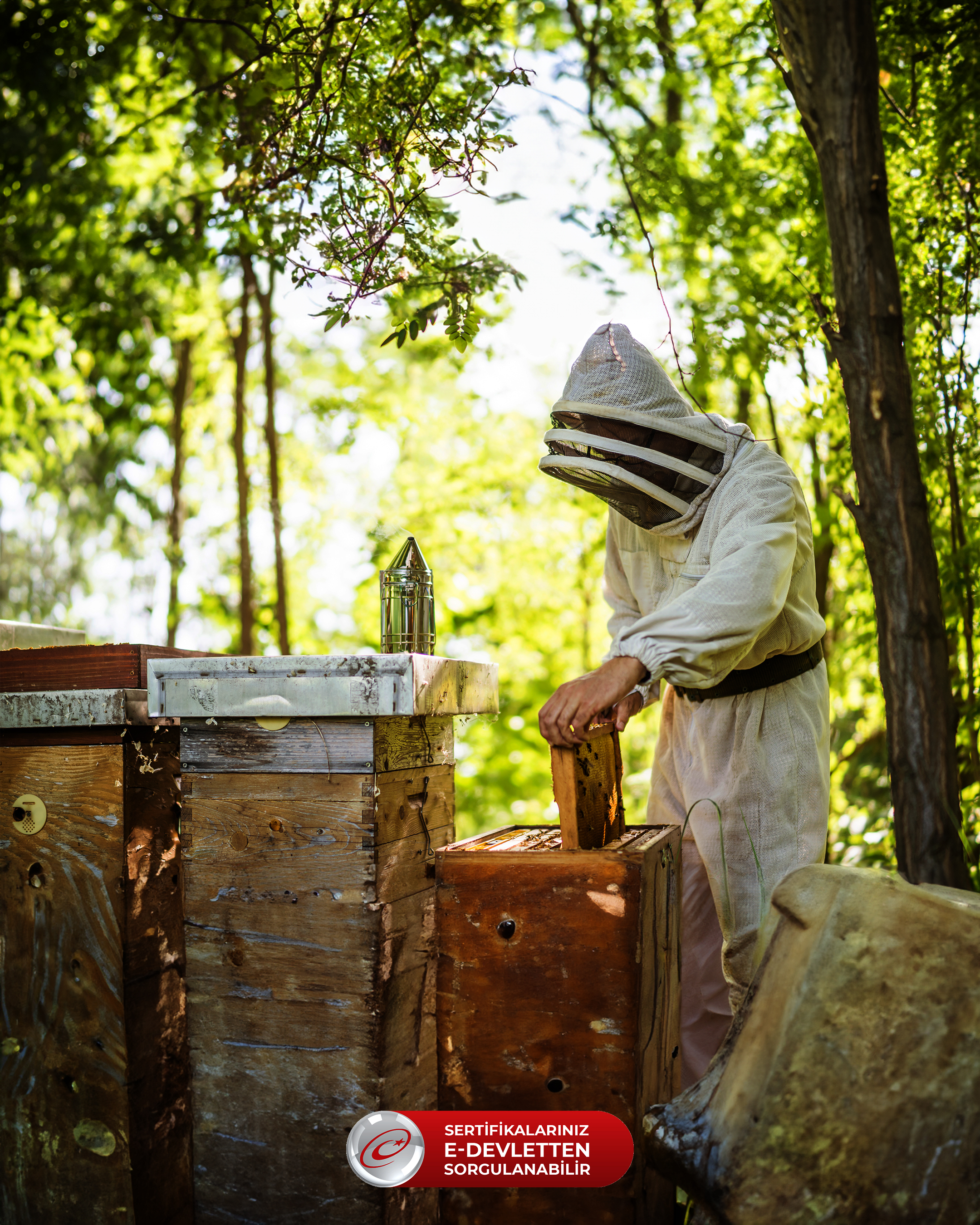 Emlak Danışmanlığı Sertifikaları