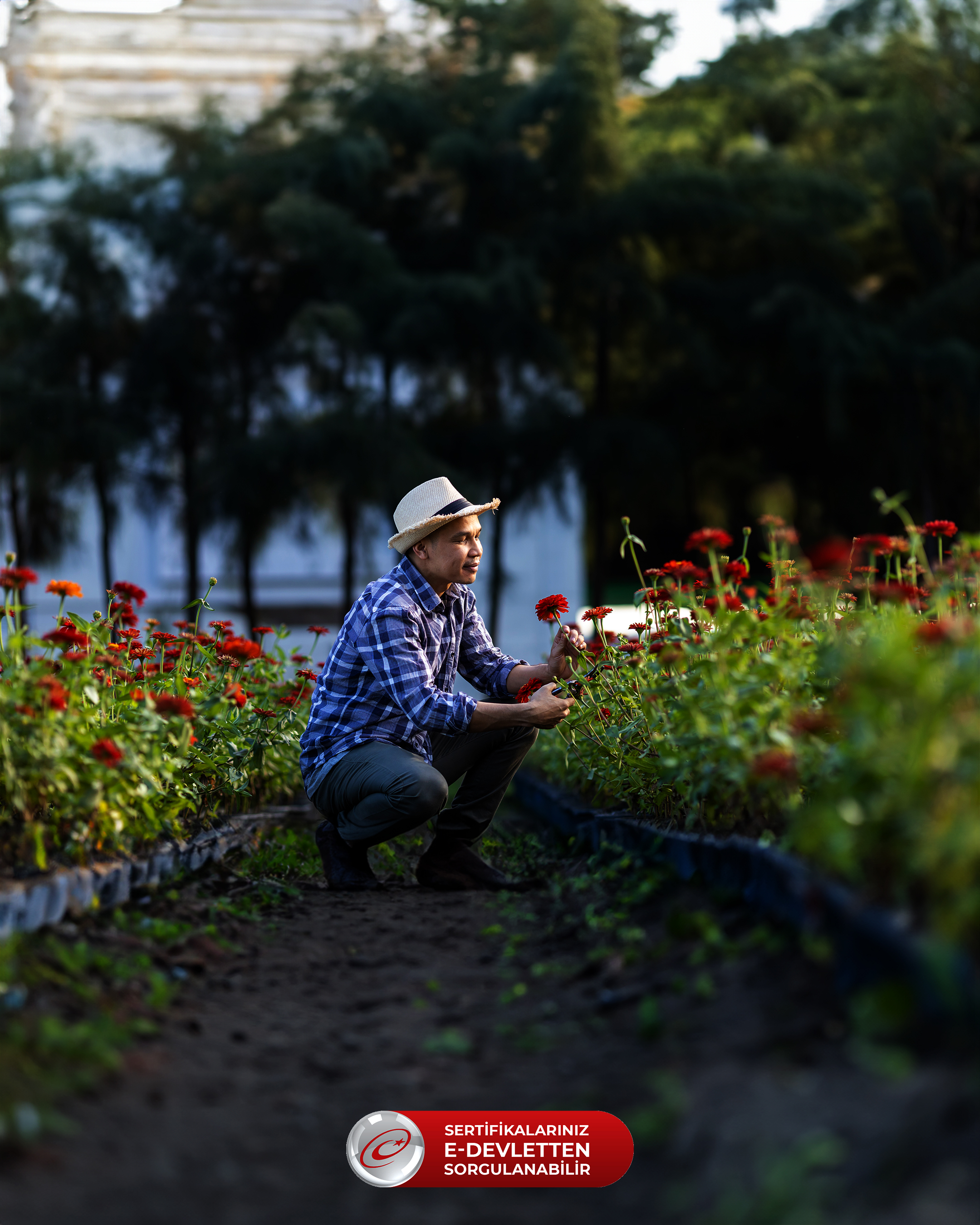 Metal Teknolojisi Sertifikaları
